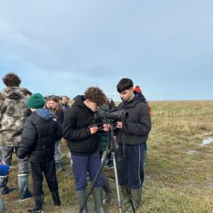 31731a70-2945-497d-9541-bafbf3852d11