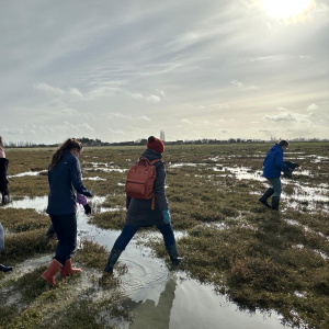 4996ba04-038f-482f-ab25-b9ae593b5948