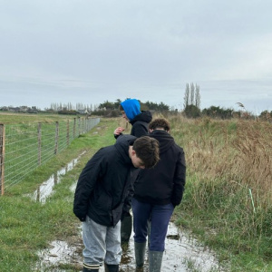 f32437fc-0970-4987-b51b-706860f22a9b