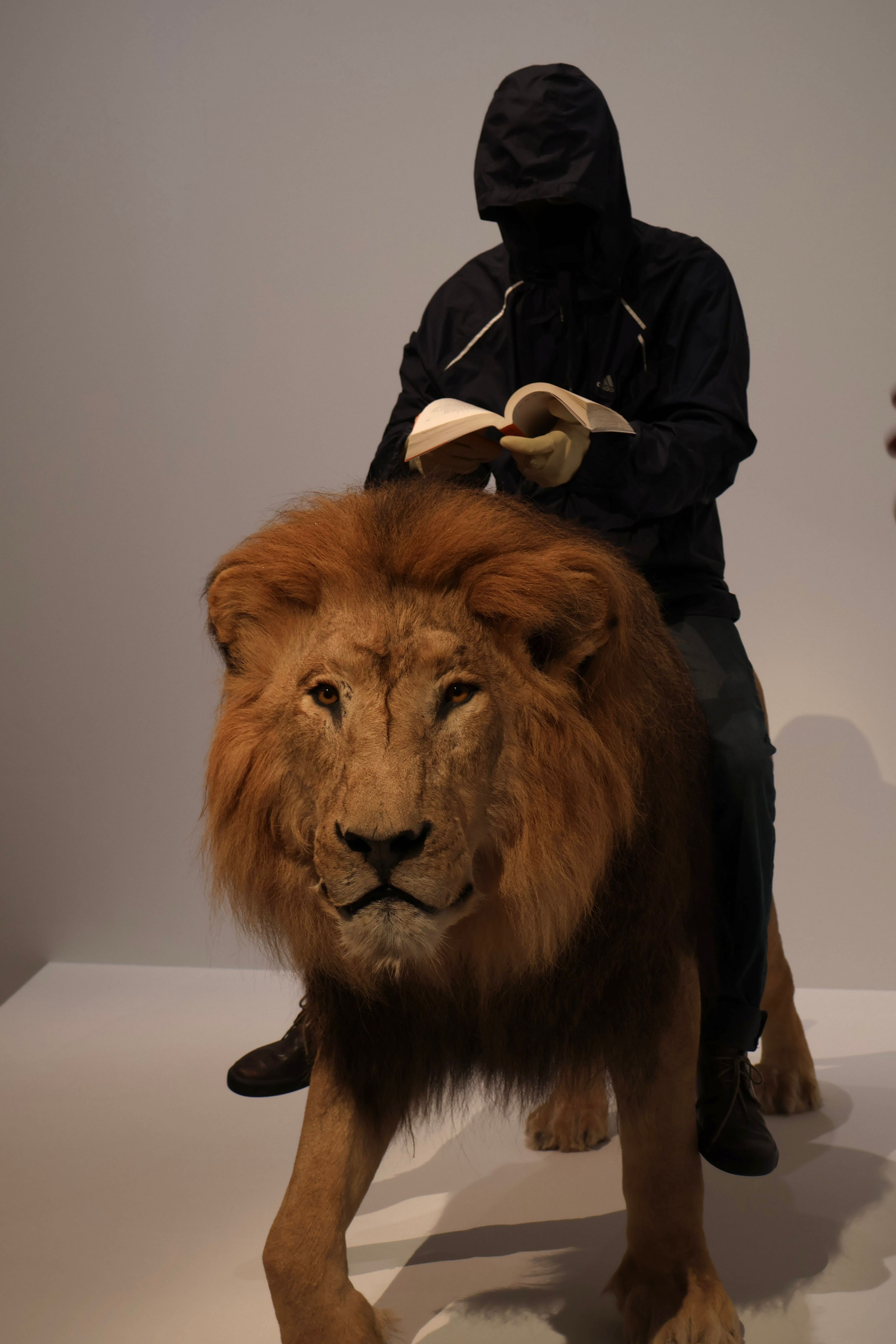 Format: JPEG Format: JPEG